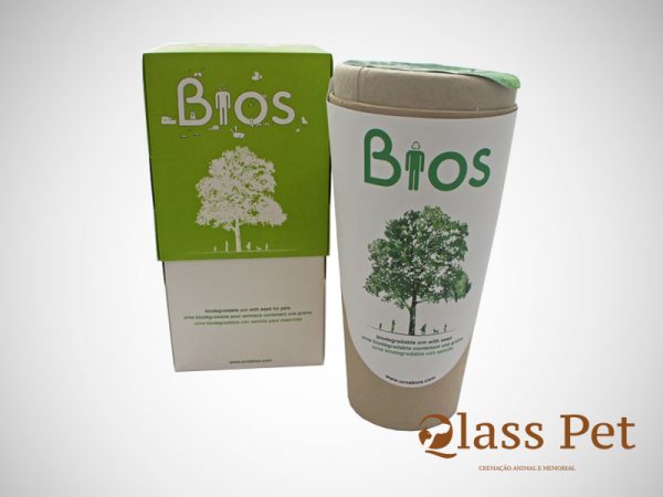 Urna Biodegradável Árvore